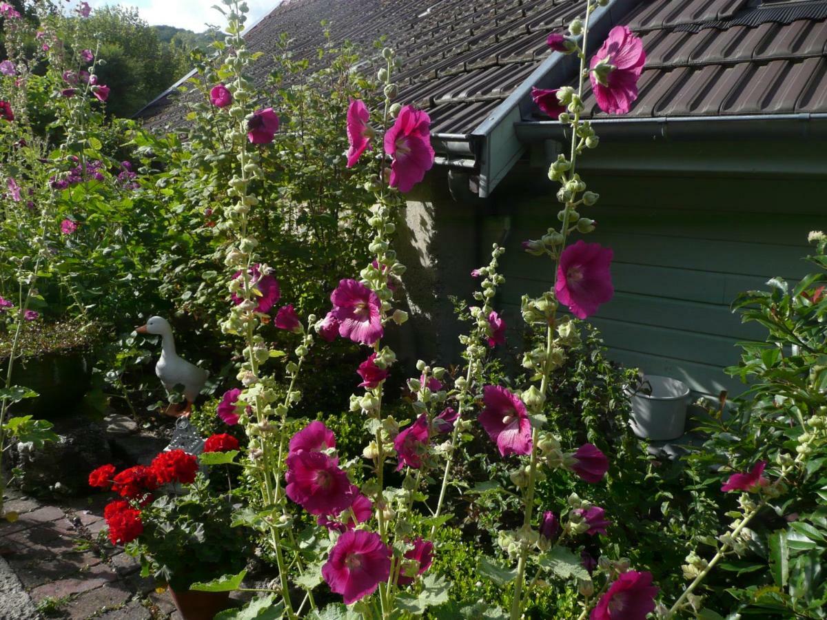 Bed and Breakfast Roulotte La Dominique Romery  Zewnętrze zdjęcie