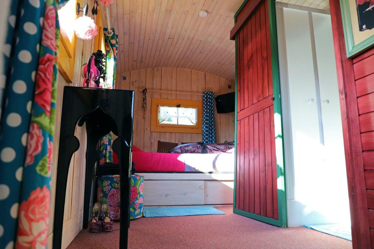Bed and Breakfast Roulotte La Dominique Romery  Zewnętrze zdjęcie